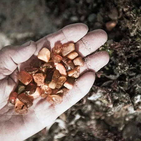 4 Star In Casa vacanze *