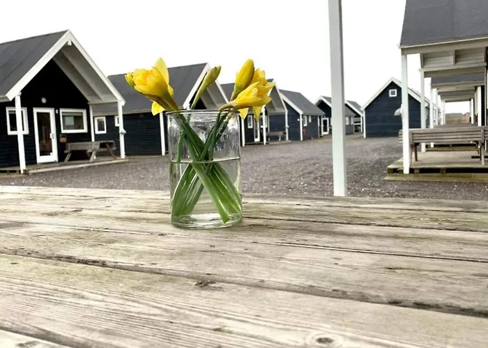 Prázdninový dům 4 Star In