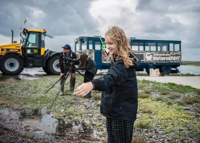 Prázdninový dům 4 Star In *