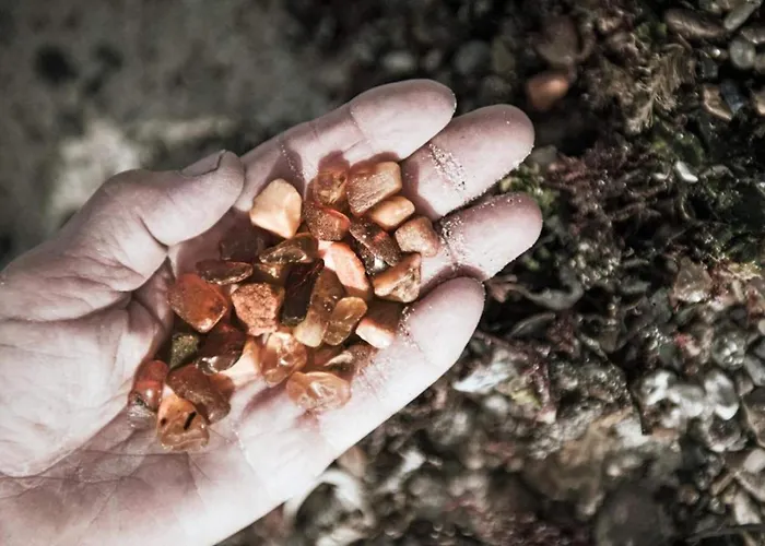 4 Star In Prázdninový dům *